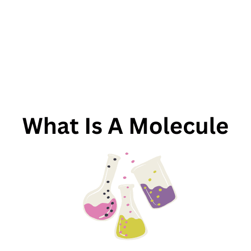 What Is A Molecule